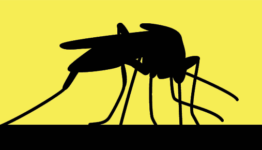 Mosquito-Borne Diseases