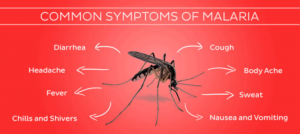 Mosquito-Borne Diseases