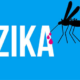 ZIKA VIRUS